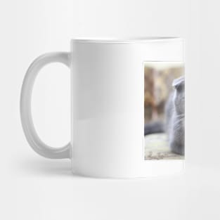 British Shorthair Mug